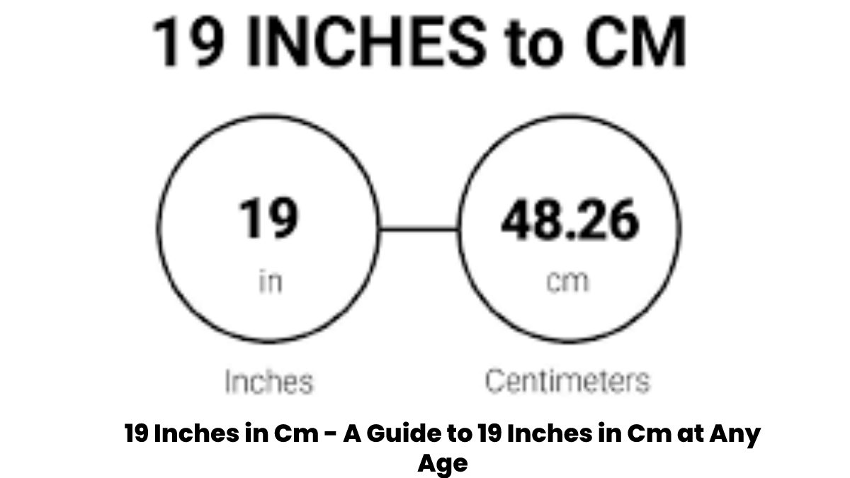 19 Inches in cm