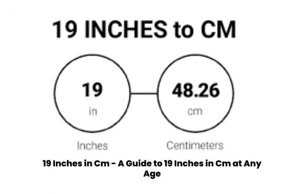 19 Inches in cm