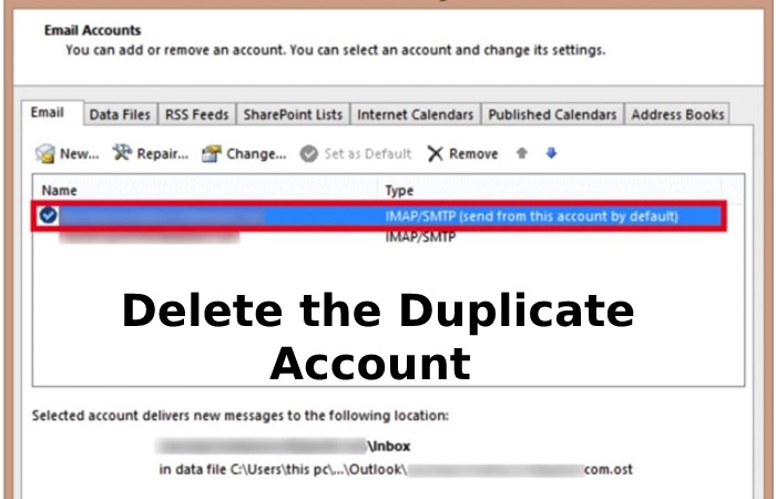 delete the duplicate account
