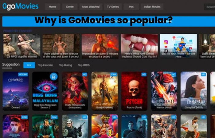 Why is GoMovies so popular?
