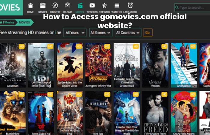 How to Access gomovies.com official website?