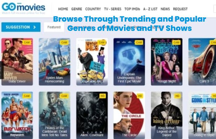 Browse Through Trending and Popular Genres of Movies and TV Shows