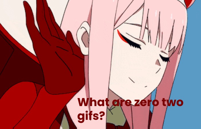 What are zero two gifs?