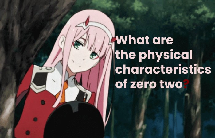 What are the physical characteristics of zero two?