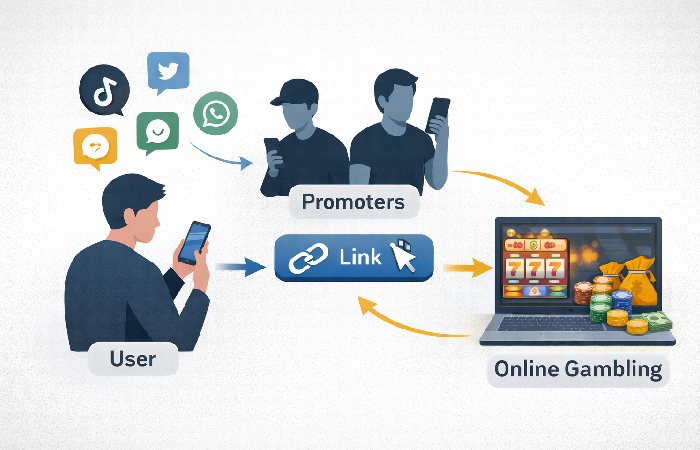Visual flow of users promoters and gambling platform connections